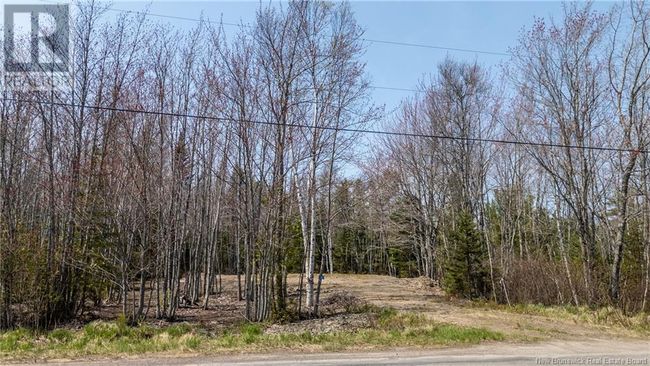 1387 Bells Mills Rd, Home with 0 bedrooms, 0 bathrooms and null parking in Richibouctou-Village NB | Image 27