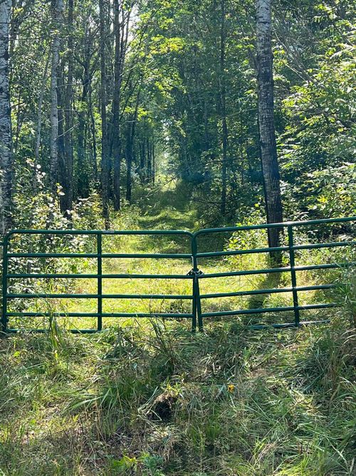 TBD E County Road 3, Kabetogama, MN, 56669 | Card Image