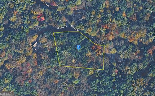 1060 Nexus Dr, Ellijay, GA, 30540-6749 | Card Image