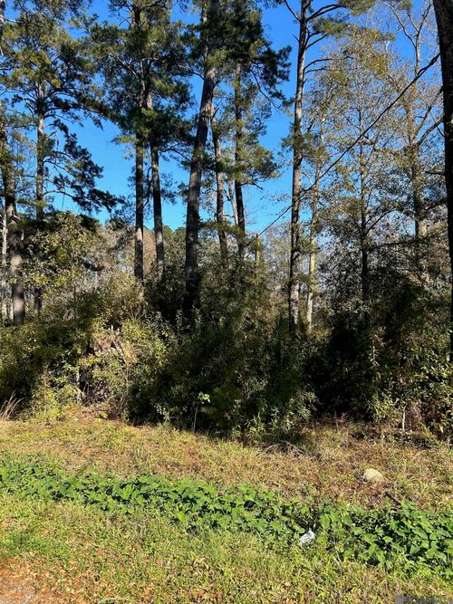 Lot 15 Magnolia Dr, Walker, LA, 70785 | Card Image