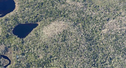 {{alt}} | Card Image