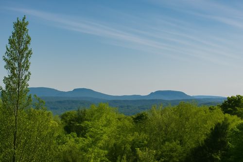 1933 Chicken Rd, Lebanon, TN, 37090-3035 | Card Image