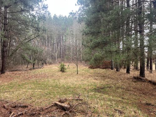 Xxxxx Old 67 Road, Henning Twp, MN, 56551 | Card Image