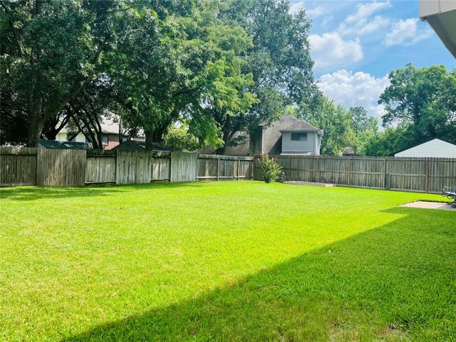BACKYARD | Image 12
