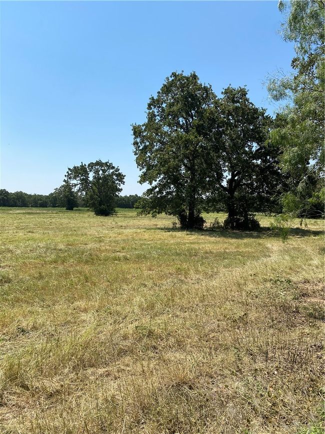 222 Hcr 2205, Home with 0 bedrooms, 0 bathrooms and null parking in Aquilla TX | Image 9