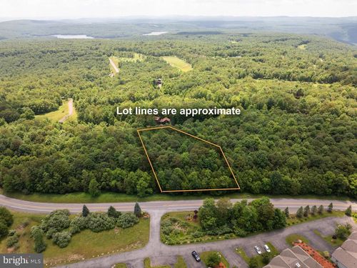 106 Snowhaven Ln, MC HENRY, MD, 21541 | Card Image