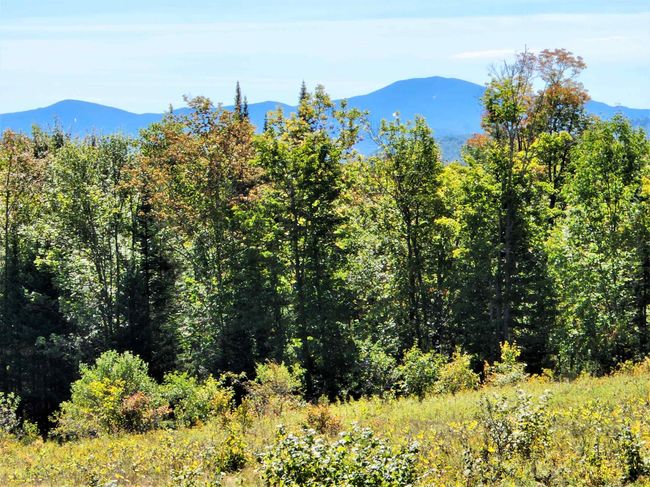 PARCEL-3 - 0 Us Route 2, Home with 0 bedrooms, 0 bathrooms and null parking in Lunenburg VT | Image 20