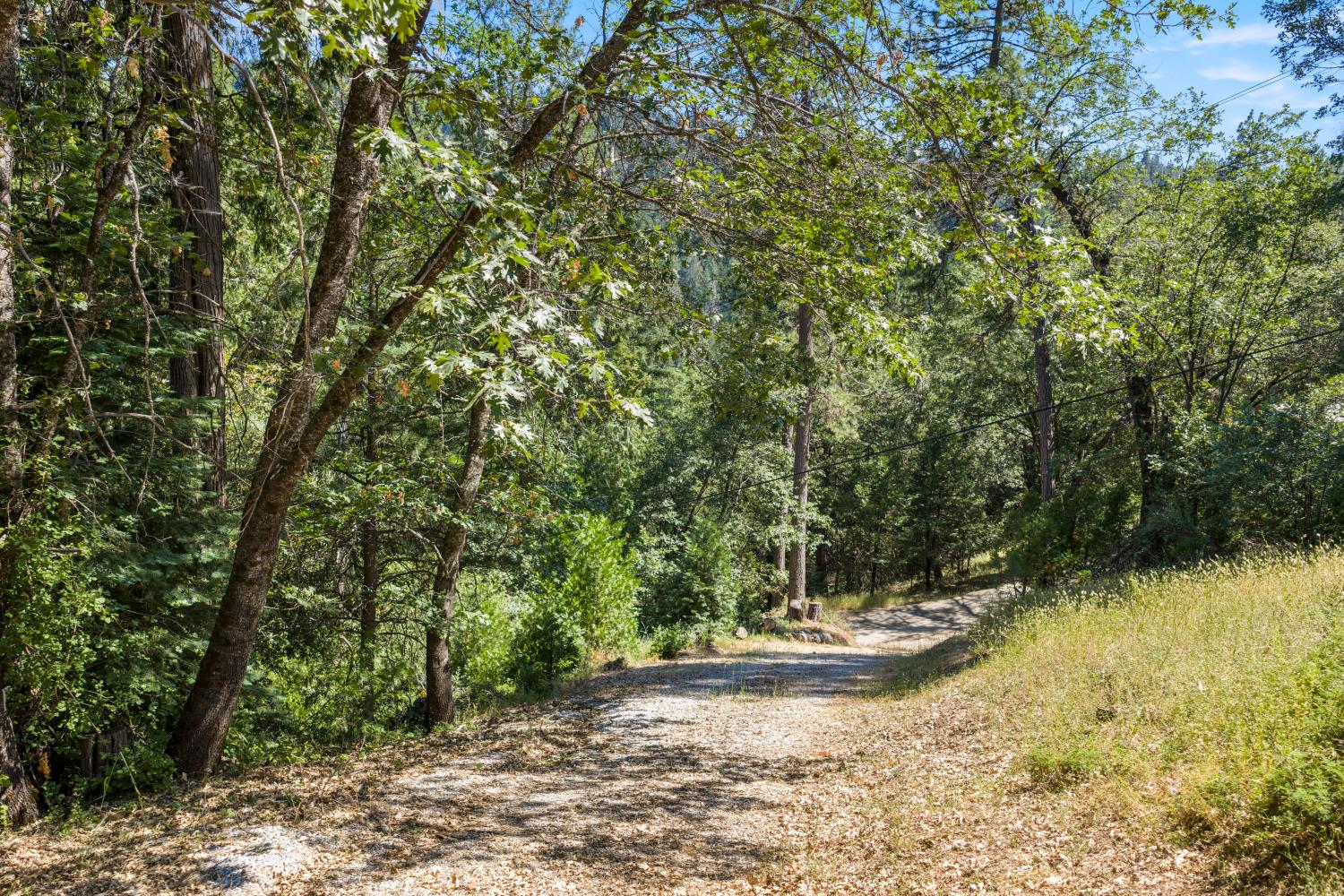 Land in Camino 3