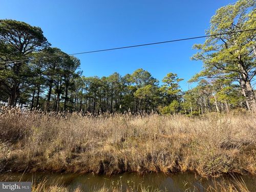 11006 Riley Roberts Rd, DEAL ISLAND, MD, 21821-1116 | Card Image