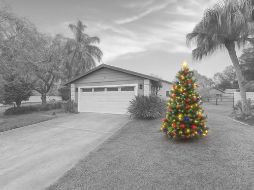 643 Satinleaf Ave, OLDSMAR, FL, 34677-4585 | Card Image