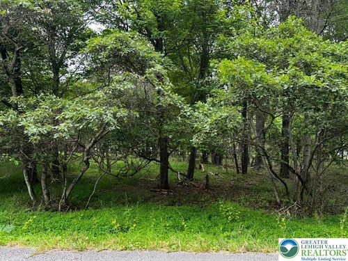 1850 Chippewa Trl, ALBRIGHTSVILLE, PA, 18210 | Card Image