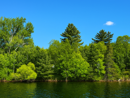 15019 Woodland Beach Ln, Deerwood, MN, 56444-8703 | Card Image