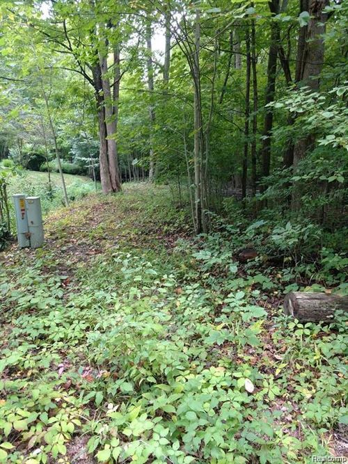 3 Joann Dr, Newport, MI, 48166 | Card Image