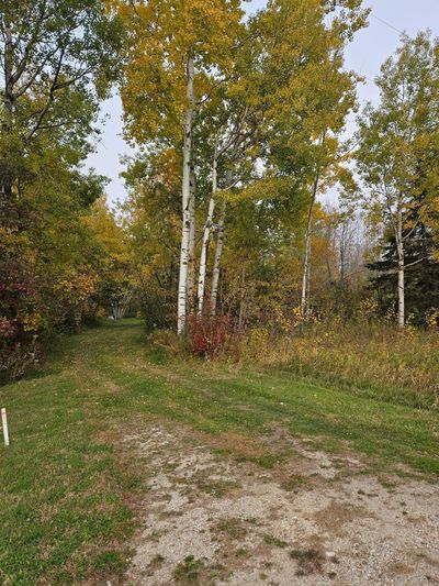 Driveway Entrance | Image 1