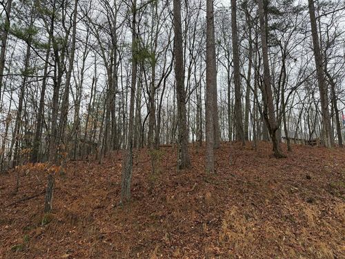 Lot 452 Joliet Drive, Ellijay, GA, 30540 | Card Image