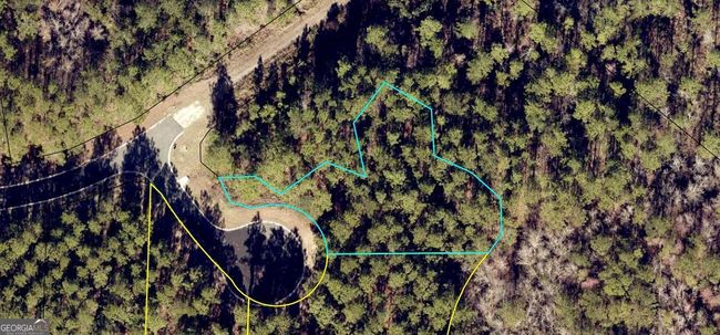 LOT 221 Clam Crk, Home with 0 bedrooms, 0 bathrooms and null parking in Waverly GA | Image 14