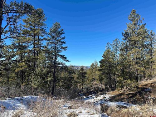 1742 Westview Rd, Pagosa Springs, CO, 81147-7238 | Card Image