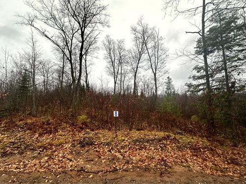 Lot 8 Cth B, Land O' Lakes, WI, 54540 | Card Image