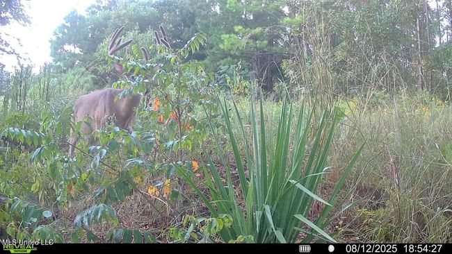 016579004502865-100-3-08122025185427-SYF | Image 33