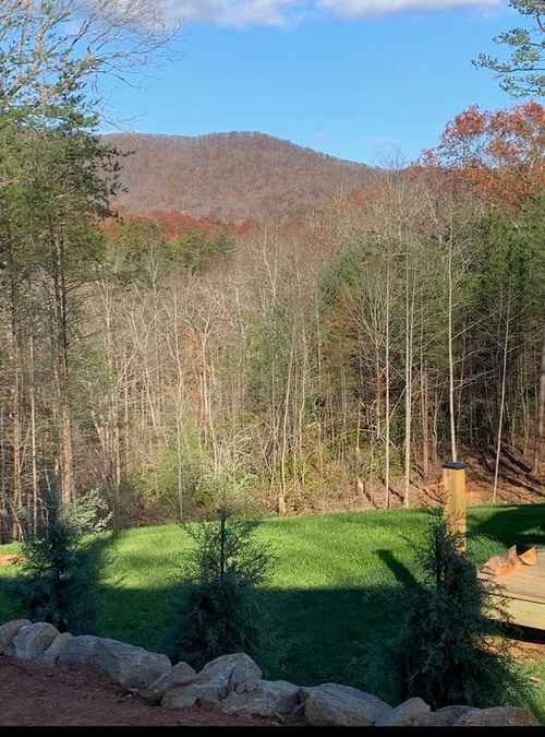 16 Merlin Trl, Murphy, NC, 28906 | Card Image
