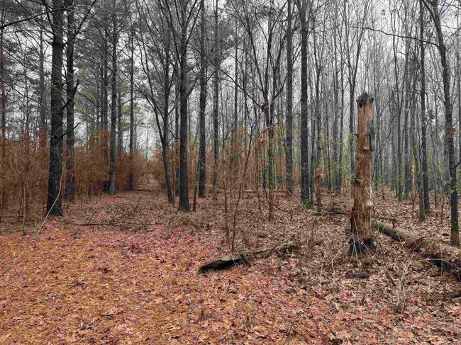 000 Ashley Road 912, Home with 0 bedrooms, 0 bathrooms and null parking in Hamburg AR | Image 22