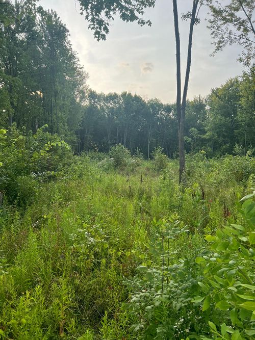 51760 S Foster Rd, Chesterfield, MI, 48047-3559 | Card Image