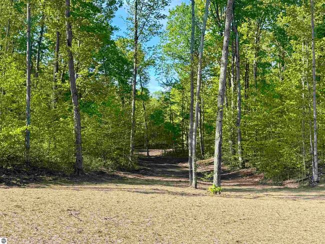 B11 E Solaris Way, Home with 0 bedrooms, 0 bathrooms and null parking in Maple City MI | Image 4