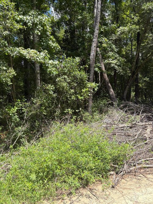 lot-223-0 University Dr, North Charleston, SC, 29418 | Card Image