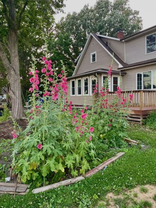 701 E 9th St, Kewanee, IL, 61443-1521 | Card Image