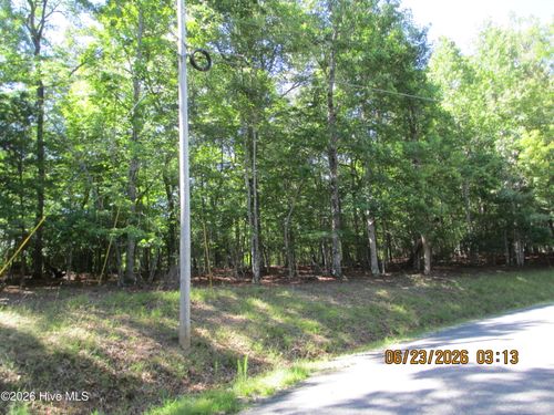 Lot 8 Quail Cove Circle, Warne, NC, 28909 | Card Image