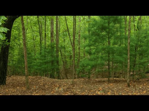 2551 Frigate Drive, Ellijay, GA, 30540 | Card Image