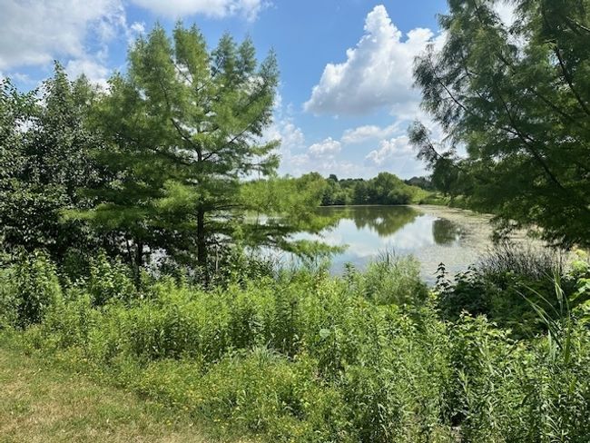 12840 Shenandoah Trl, House other with 6 bedrooms, 5 bathrooms and 3 parking in Plainfield IL | Image 35