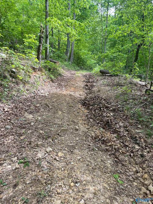 12 acre Cottonville Road, Grant, AL, 35747 | Card Image