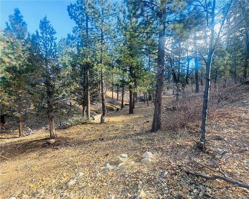 899 Kern Ave, Sugarloaf, CA, 92386 | Card Image