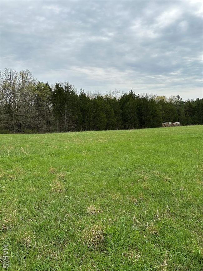 0 Butcher Branch Rd, Home with 0 bedrooms, 0 bathrooms and null parking in Hillsboro MO | Image 5