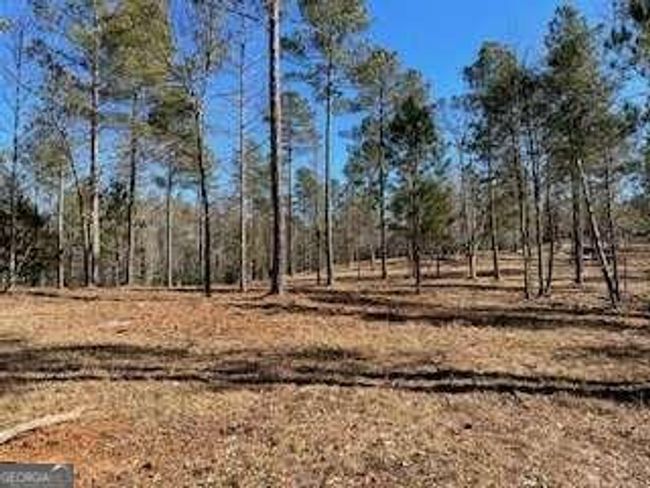 1276 Hornets Bridge Rd, Home with 0 bedrooms, 0 bathrooms and null parking in Elberton GA | Image 4