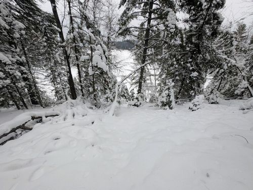 off Wooded Ln, Conover, WI, 54519 | Card Image