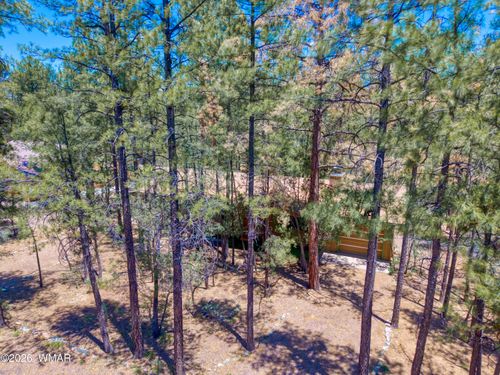 21 Southlake Road, Lakeside, AZ, 85929 | Card Image