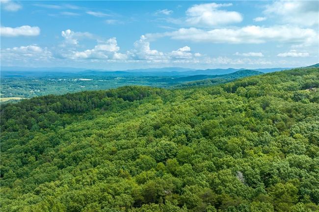 206 Mystic Trail Ln, Home with 0 bedrooms, 0 bathrooms and null parking in Jasper GA | Image 17