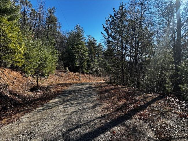 209 Casey Mountain Rd, Home with 0 bedrooms, 0 bathrooms and null parking in Purlear NC | Image 5