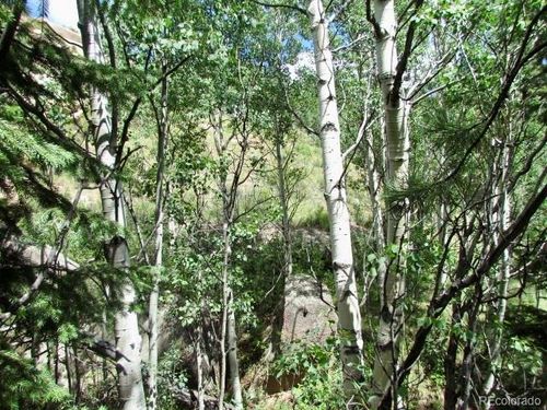 407 El Paso Ct, Cripple Creek, CO, 80813 | Card Image