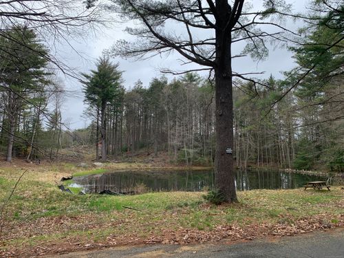 21 Szych Rd, Union, CT, 06076-4910 | Card Image