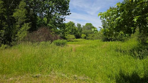 186 Township Road 209, Marengo, OH, 43334 | Card Image