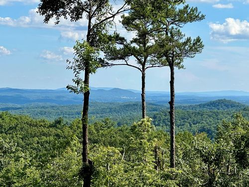 Lot 73 Mountain View Rd, Ellijay, GA, 30540-0561 | Card Image