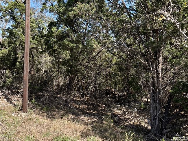 0 State Highway 46 W, Home with 0 bedrooms, 0 bathrooms and null parking in Spring Branch TX | Image 6