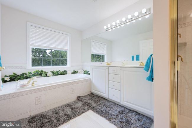 17455 Kagera Dr, Townhouse with 3 bedrooms, 4 bathrooms and null parking in DUMFRIES VA | Image 21