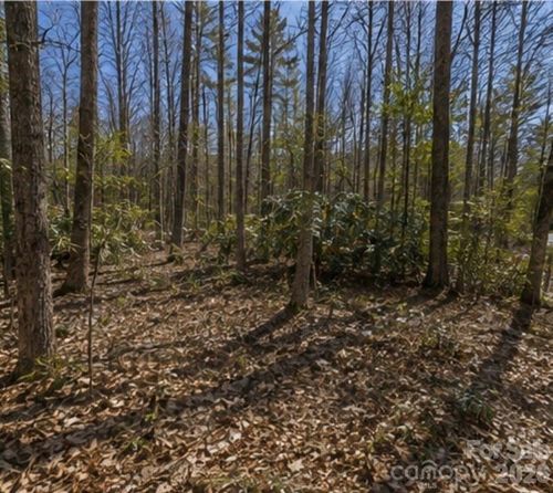 109 W Christy Trail, Sapphire, NC, 28774 | Card Image