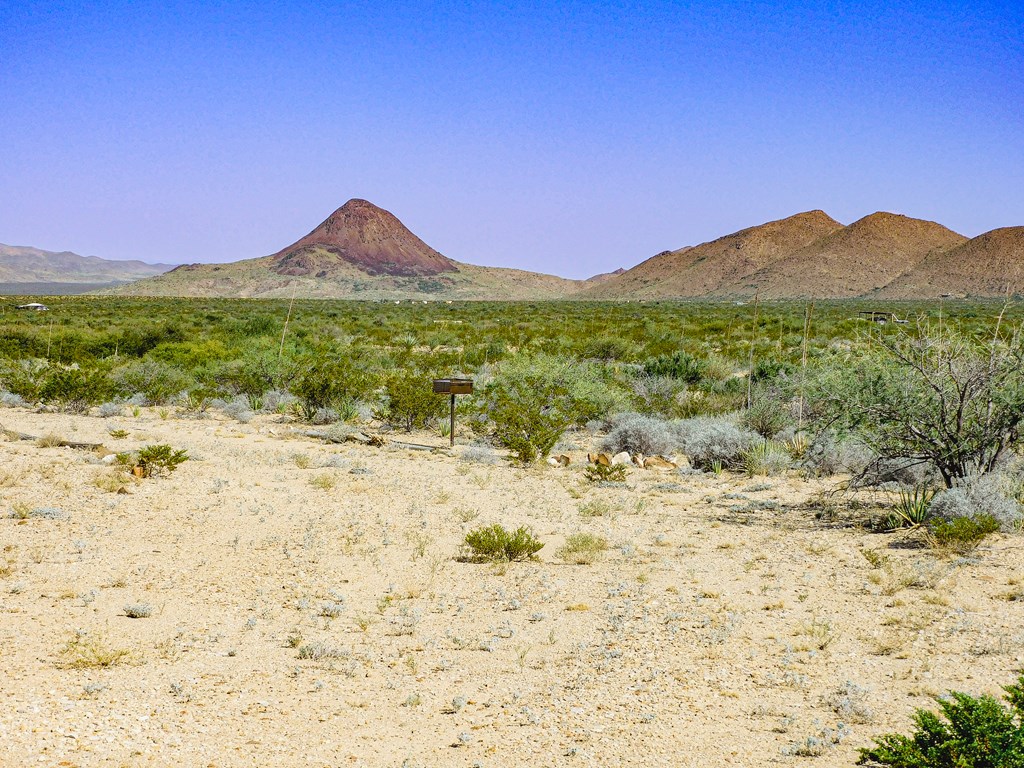 Land in Terlingua 2