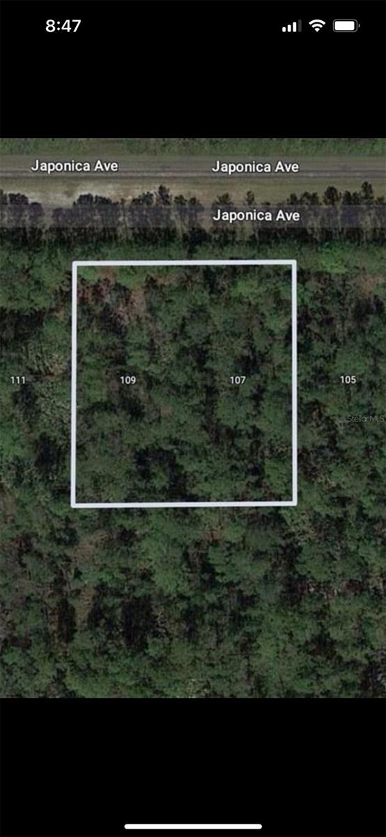 Land in INDIAN LAKE ESTATES