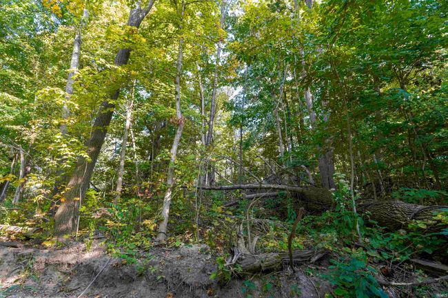 0 N Old State Road 25, Home with 0 bedrooms, 0 bathrooms and null parking in Delphi IN | Image 14